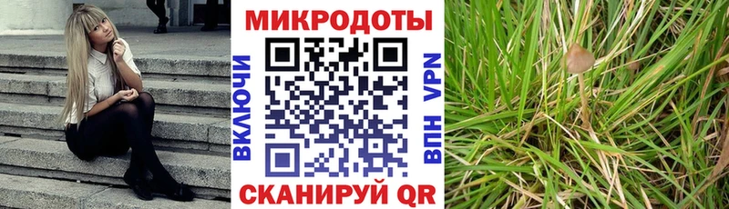 Псилоцибиновые грибы мицелий  Купить  Мценск 