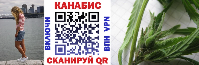 Купить где  Мценск  Бошки Шишки ГИДРОПОН 